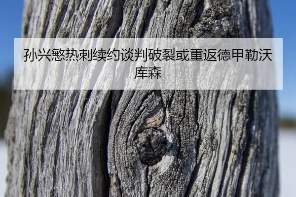 sun-xing-min-re-ci-xu-yue-tan-pan-po-lie-huo-chong-fan-de-jia-lei-wo-ku-sen-3-339.jpg